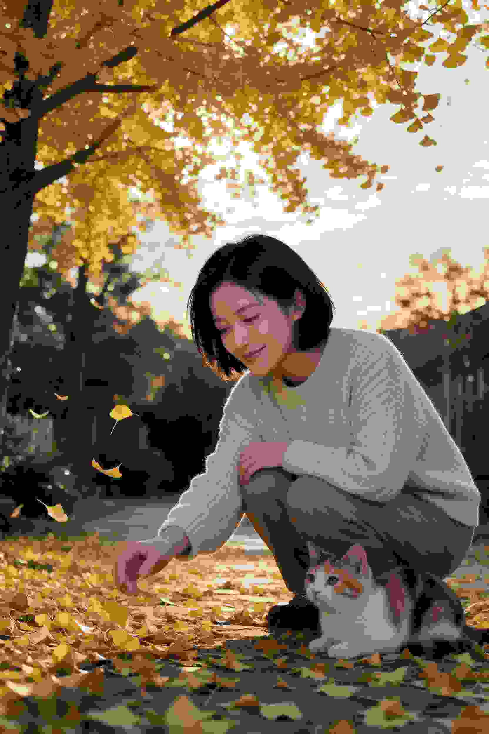 晨光之恋